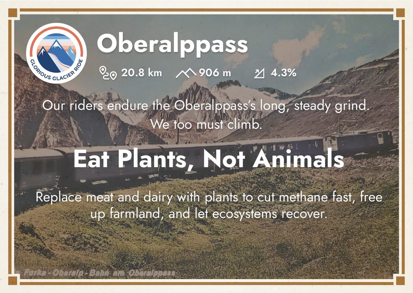 Oberalppass — Eat Plants, Not Animals